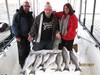 (02/27/2017) - Nice Striped Bass